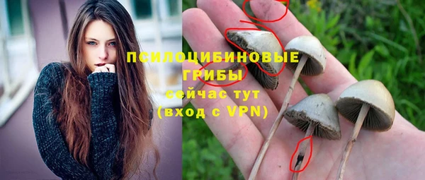 дживик Белокуриха