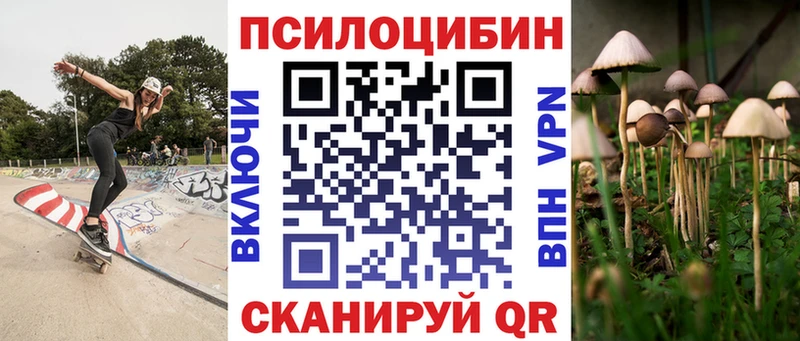 Галлюциногенные грибы Cubensis кракен зеркало Купино